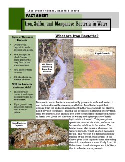 Iron, Sulfur, and Manganese Bacteria in Water
