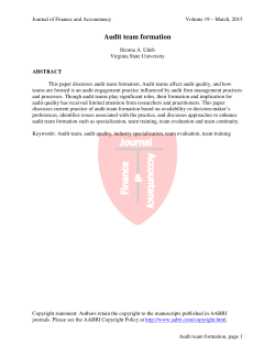 Audit team formation