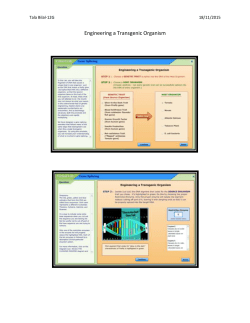 Tala Bilal-12G 18/11/2015 Engineering a Transgenic Organism