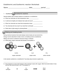 Endothermic and Exothermic reaction Worksheet Name