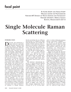 Single Molecule Raman Scattering