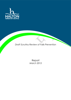 Draft Falls Prevention Scrutiny Review.doc , item 12. PDF 564 KB