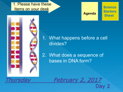 Science Starters Sheet