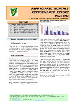 sapp market monthly performance report
