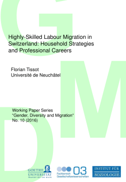 Highly-Skilled Labour Migration in Switzerland: Household