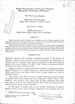 Depth Distribution of Oceanic Shrimps
