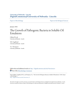 The Growth of Pathogenic Bacteria in Soluble Oil Emulsions