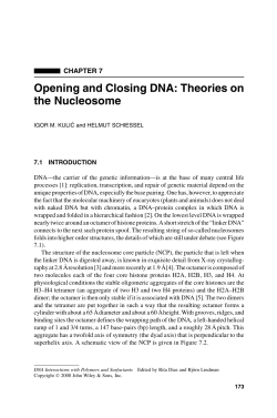 Opening and Closing DNA: Theories on the Nucleosome
