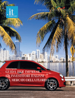guida per imprese ed investitori italiani sul mercato