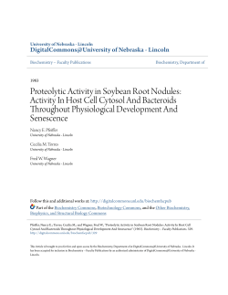 Proteolytic Activity in Soybean Root Nodules: Activity In Host Cell