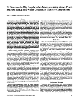 Differences in Big Sagebrush (Artemisia tridentata) Plant Stature
