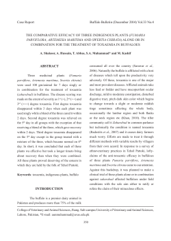 THE COMPARATIVE EFFICACY OF THREE INDIGENOUS PLANTS