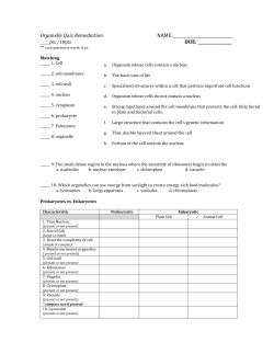 Organelle Quiz Remediation