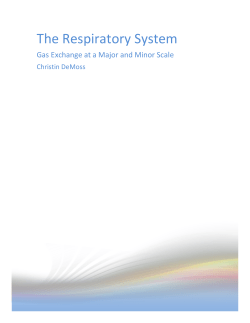 The Respiratory System