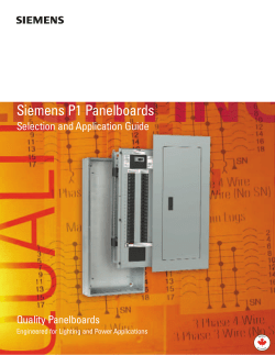 P1 Application Guide Nov2001