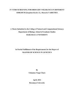 Thesis Yohannes Tsago Genetics