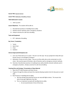 Lesson 03B Methods of Handling Horses LP