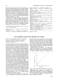 ATP and adenosine release from the cholinergic nerve terminal