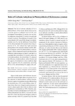 Roles of Carbonic Anhydrase in Photosynthesis of Skeletonema