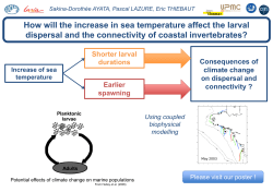 How will the increase in sea temperature affect the larval
