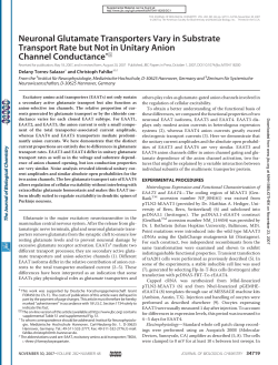 Neuronal Glutamate Transporters Vary in Substrate Transport Rate