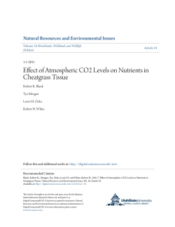 Effect of Atmospheric CO2 Levels on Nutrients in Cheatgrass Tissue