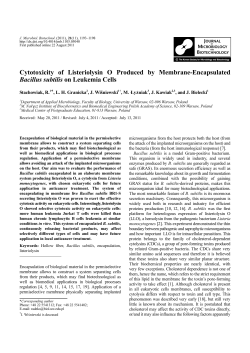 Cytotoxicity of Listeriolysin O Produced by Membrane