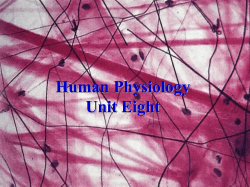 Unit Eight - Objectives 1-7