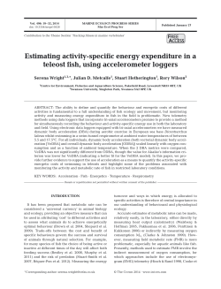 Estimating activity-specific energy expenditure in a teleost fish, using