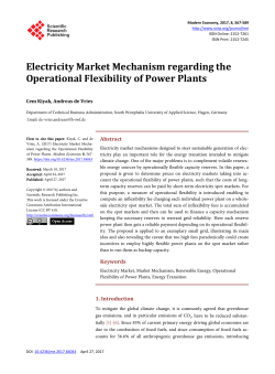 Electricity Market Mechanism regarding the Operational Flexibility of