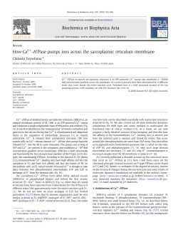 How Ca2+-ATPase pumps ions across the sarcoplasmic