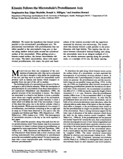 Kinesin Follows the Microtubule`s Protofilament Axis