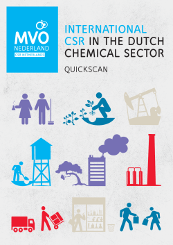 international csr in the dutch chemical sector