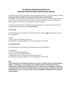 household composition related to modified adjusted gross income