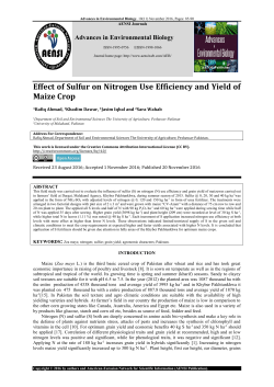 Effect of Sulfur on Nitrogen Use Efficiency and Yield of Maize Crop