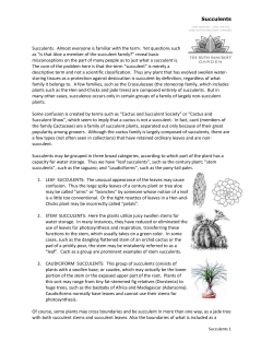 succulents - The Ruth Bancroft Garden