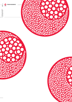 TSKgel and TOYOPEARL Process Development Products and bulk