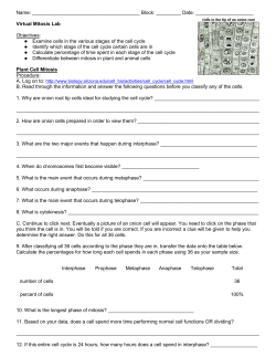Online Onion Root Lab