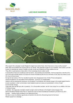 Portrait of an Individual