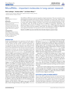 MicroRNAs- important molecules in lung cancer