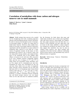 Correlation of metabolism with tissue carbon and nitrogen turnover
