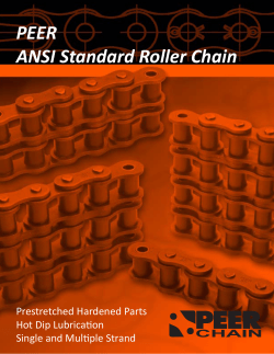 PEER ANSI Standard Roller Chain