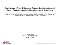 Figure 5. Hypertrophic and autophagic responses of