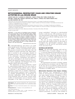 Mitochondrial respiratory chain and creatine kinase - Genoma