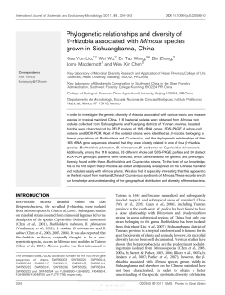 Phylogenetic relationships and diversity of b