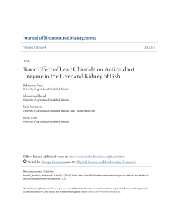 Toxic Effect of Lead Chloride on Antioxidant Enzyme in the Liver and
