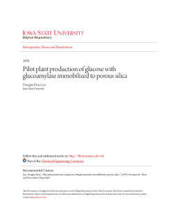 Pilot plant production of glucose with glucoamylase immobilized to