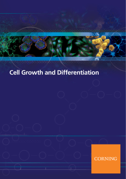 Cell Growth and Differentiation