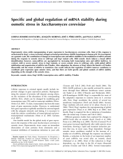 Specific and global regulation of mRNA stability during osmotic