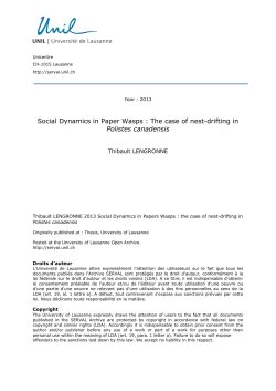 Social Dynamics in Paper Wasps : The case of nest - Serval